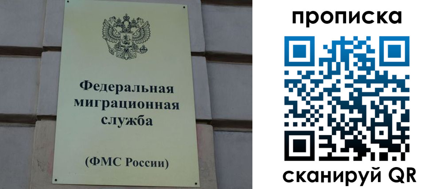 прописка поиск в Торопеце